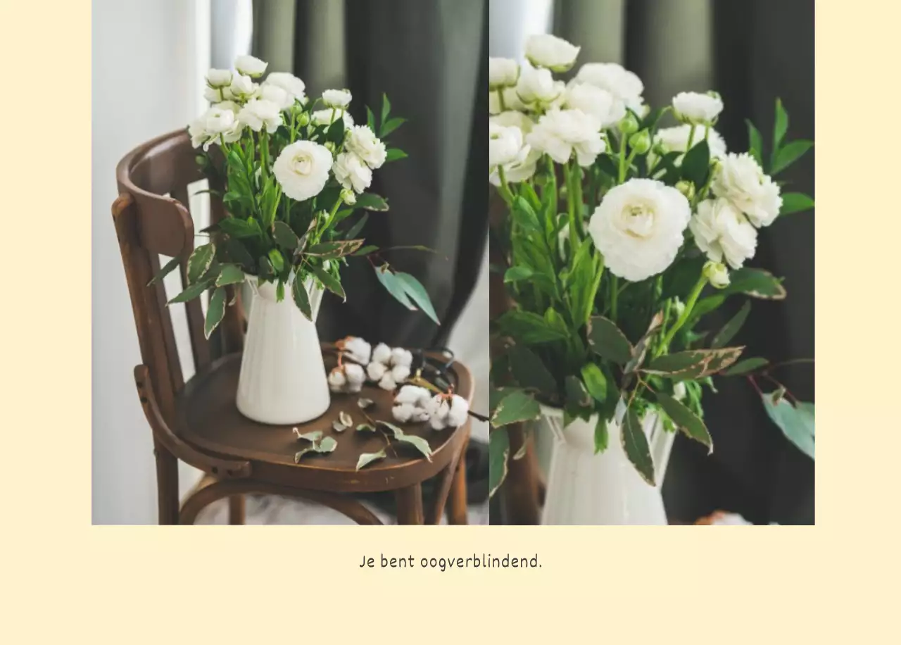 Witte schone botanische natuur