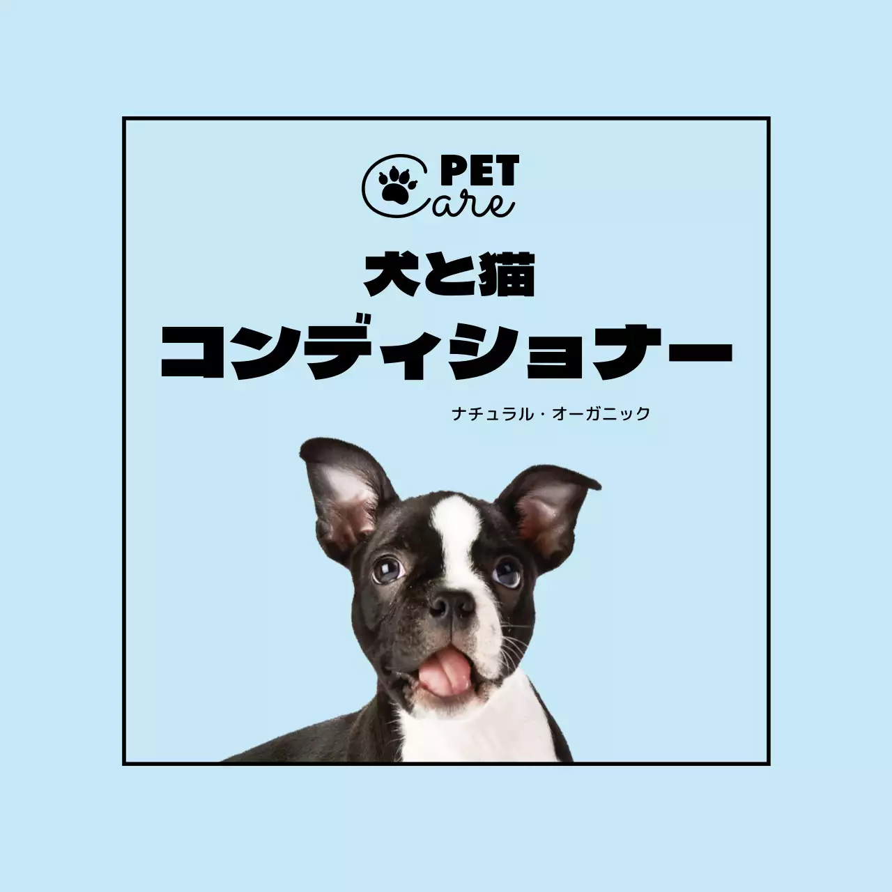 水色のロゴ写真シンプルなペット用品ラベル