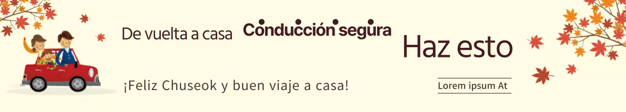 Conducir con seguridad