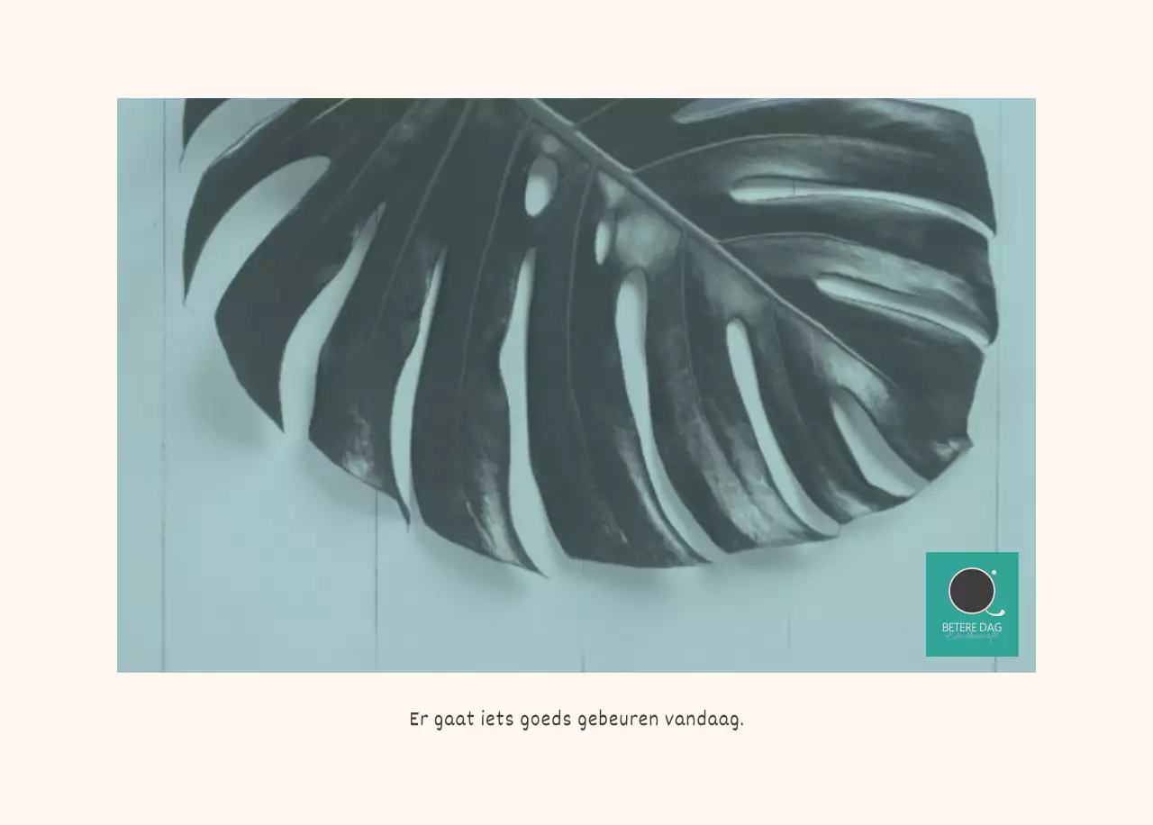 Witte schone botanische natuur