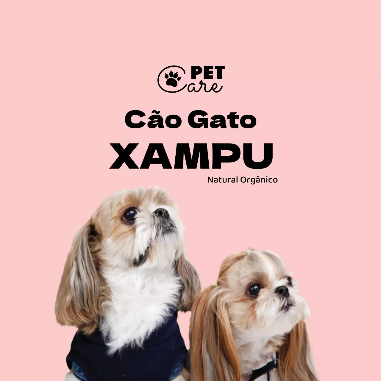 etiqueta simples para animais de estimação com logótipo rosa