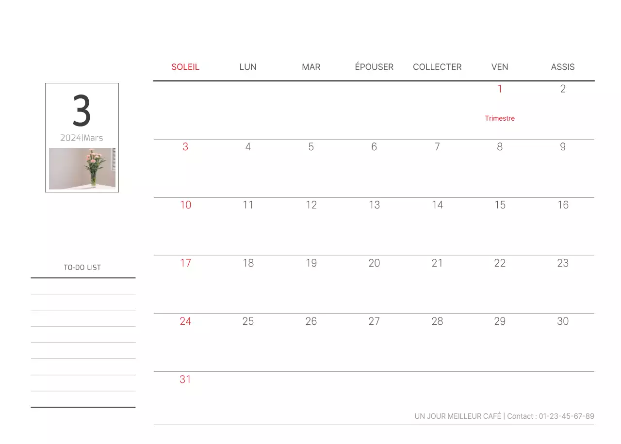 Nature botanique blanche et propre