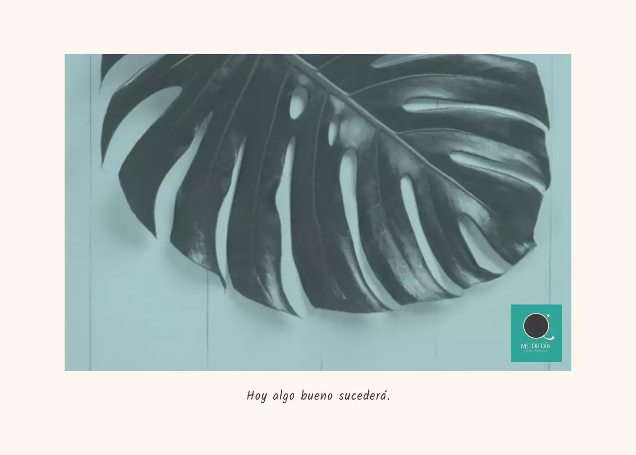 Blanco naturaleza botánica limpia