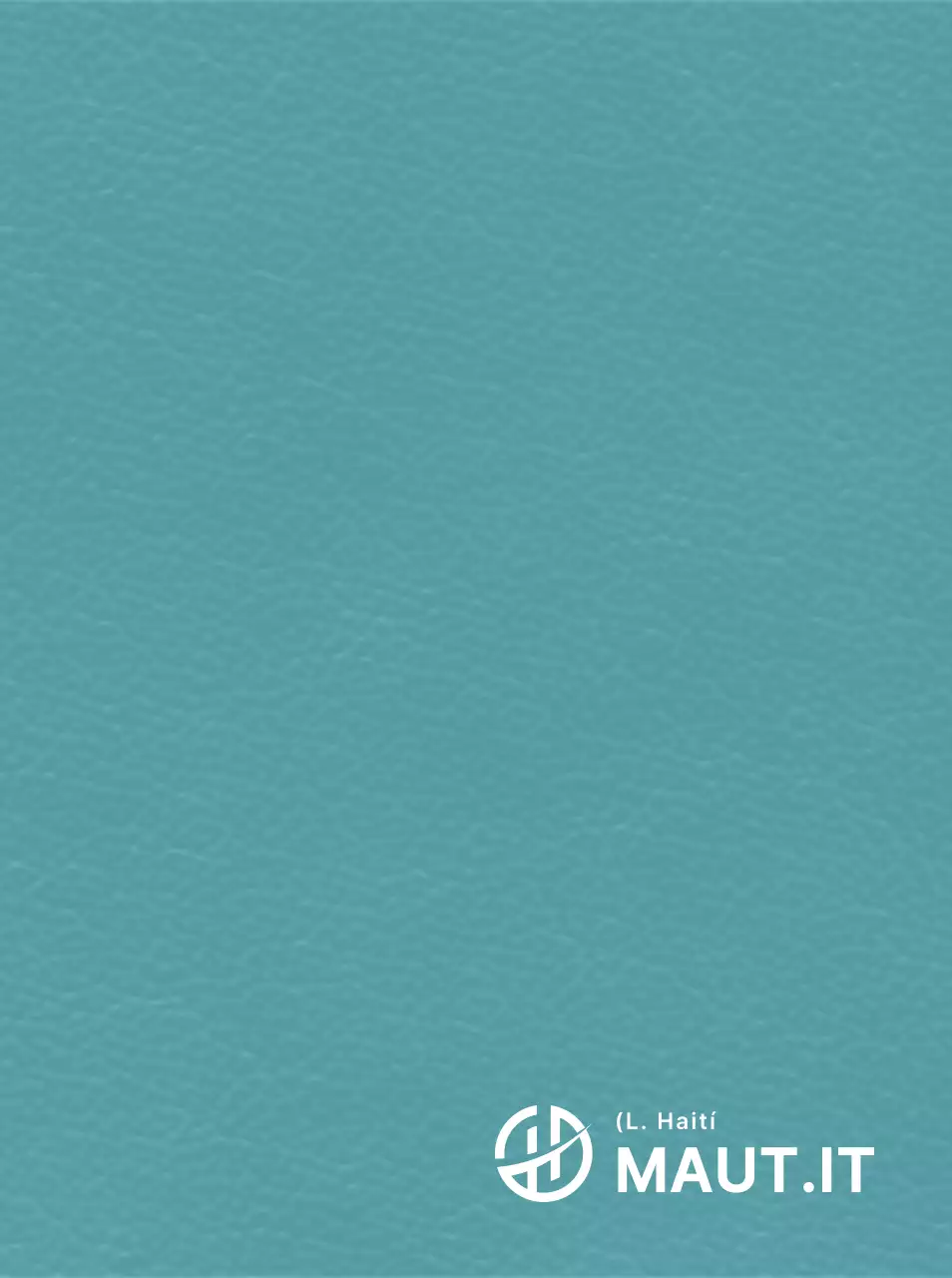 Logotipo simple con forma de Haití concepto simbólico pieza promocional corporativa