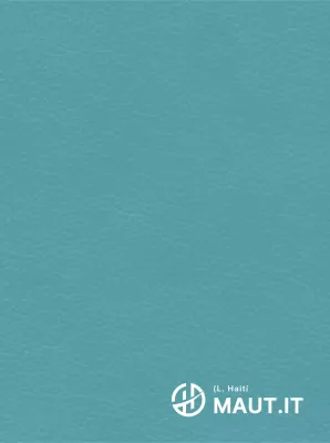 Logotipo simple con forma de Haití concepto simbólico pieza promocional corporativa