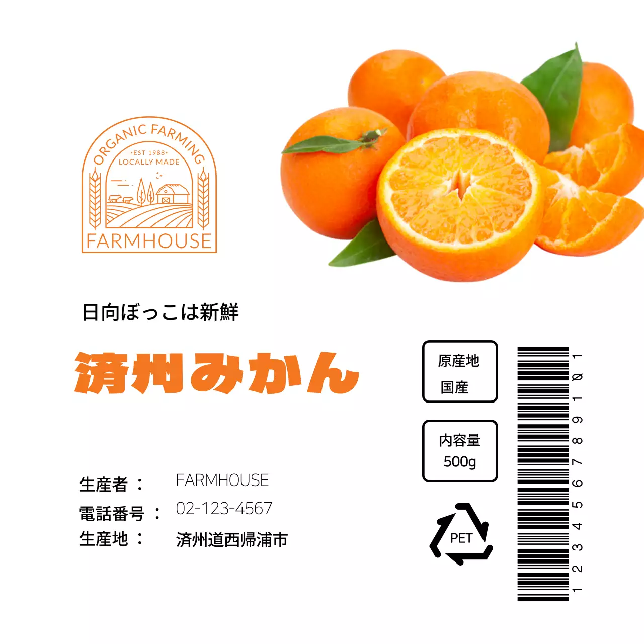 白とオレンジのすっきりとした済州みかんラベル