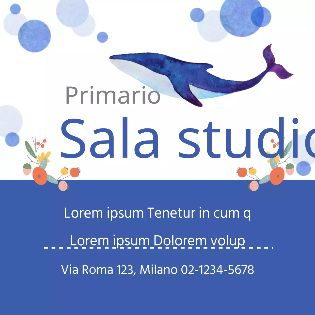 Sala studio