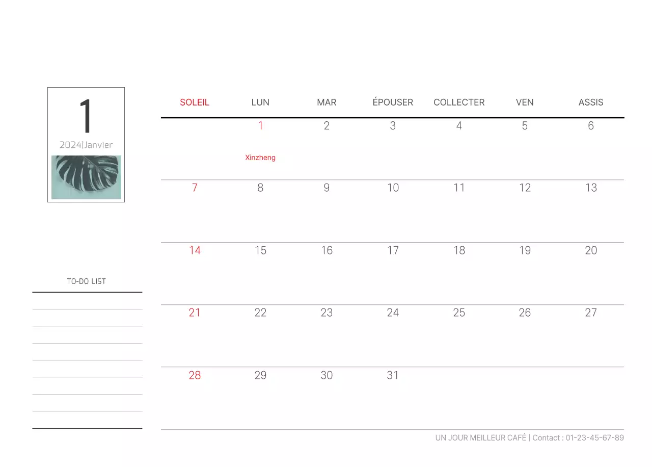 Nature botanique blanche et propre