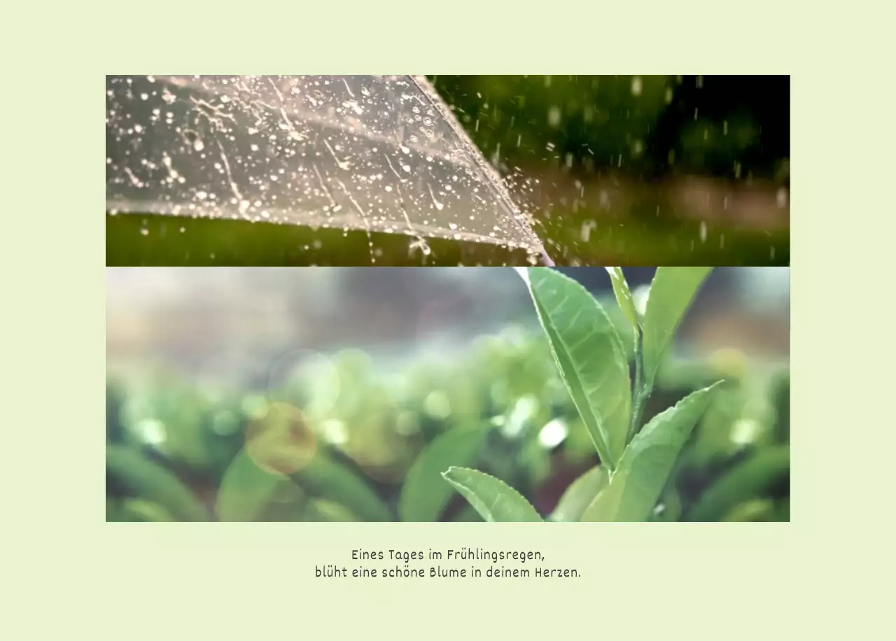 Weiße saubere botanische Natur