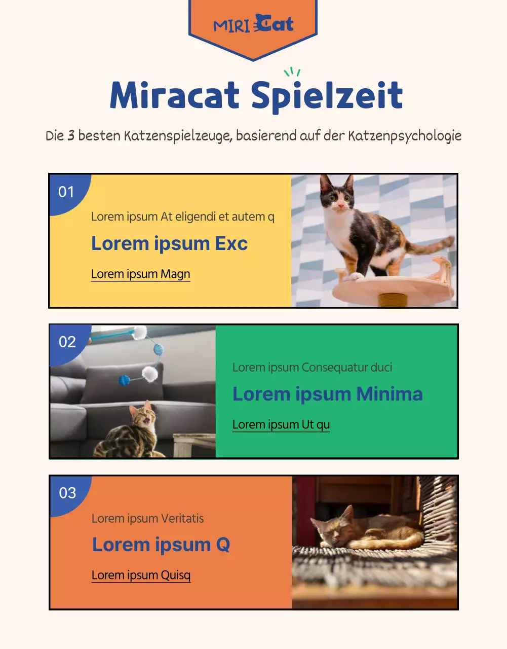 Ein All-in-One-Angebot an grünem und marineblauem Katzenzubehör