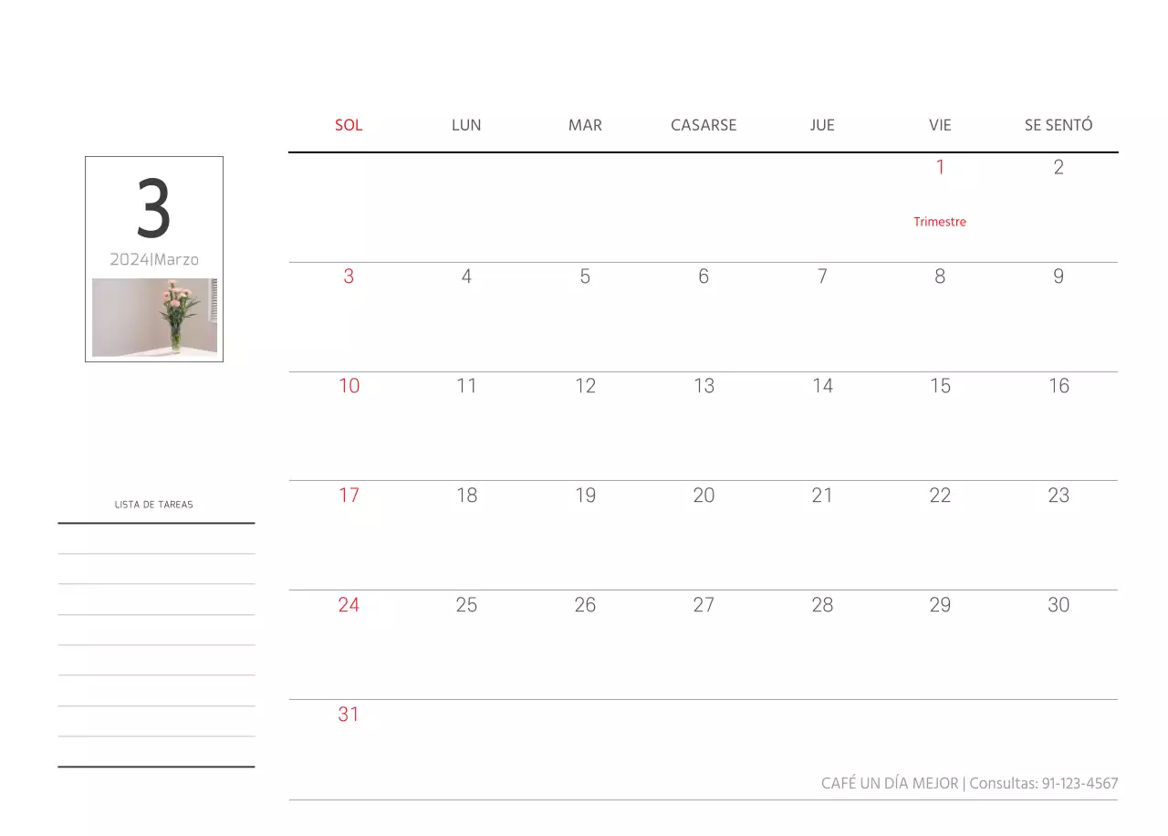 Blanco naturaleza botánica limpia