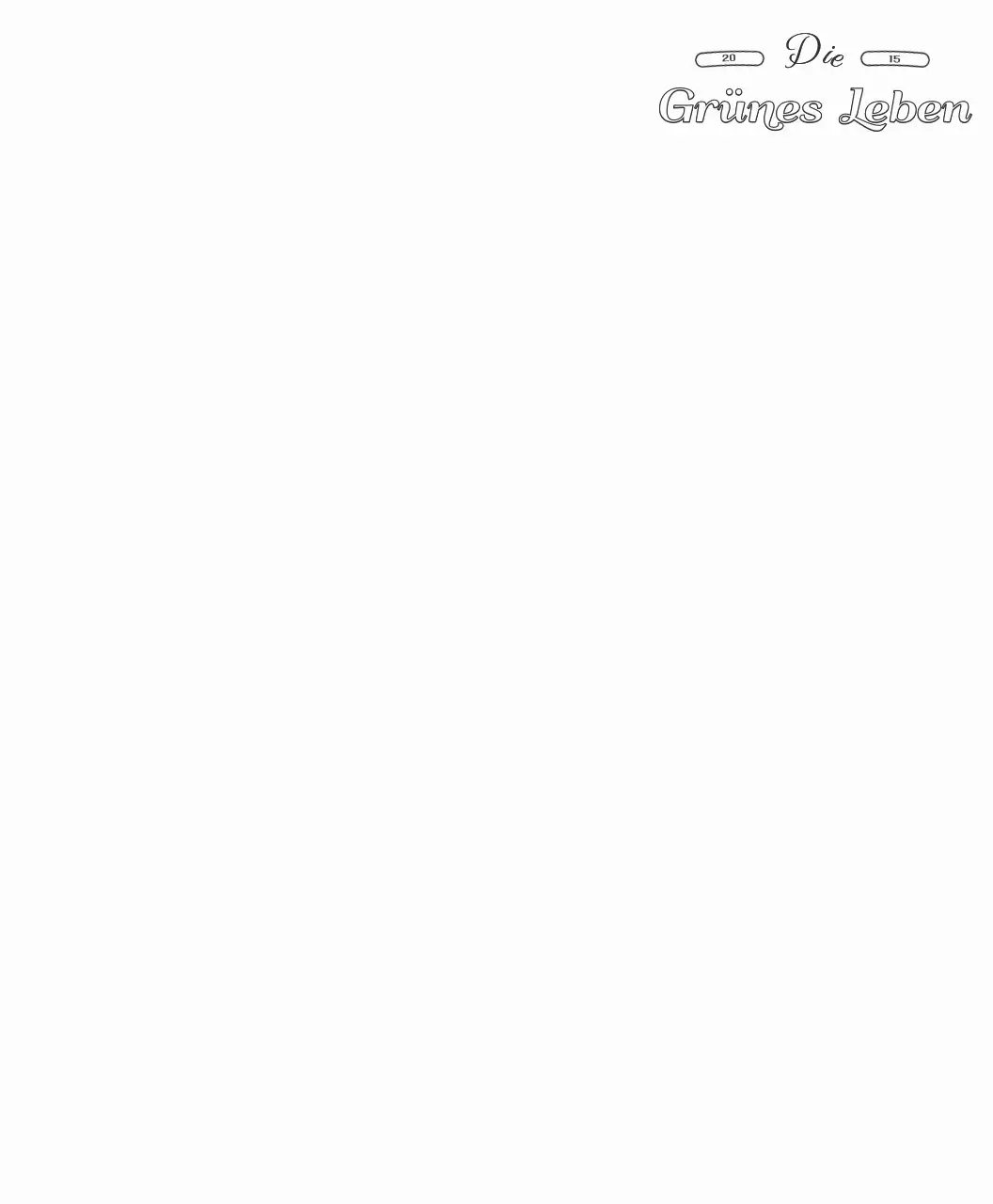 Persönliche Gegenstände mit einer sentimentalen botanischen Illustration im Layout-Stil