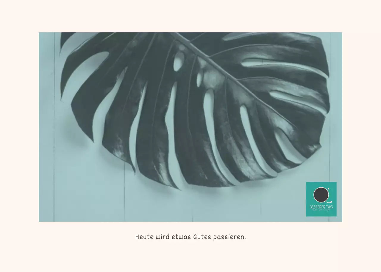 Weiße saubere botanische Natur