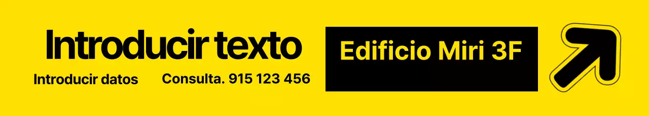 41571_Introducción de texto