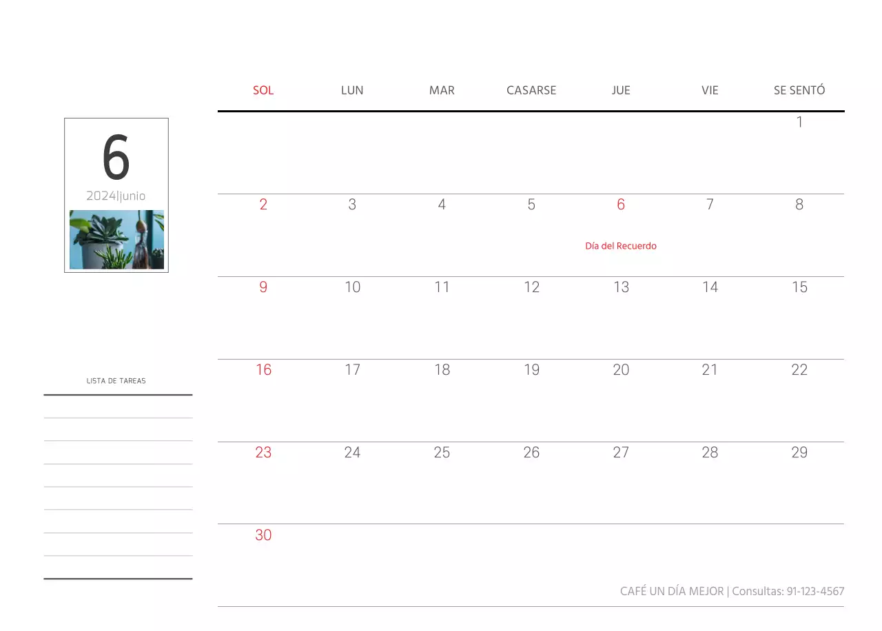 Blanco naturaleza botánica limpia