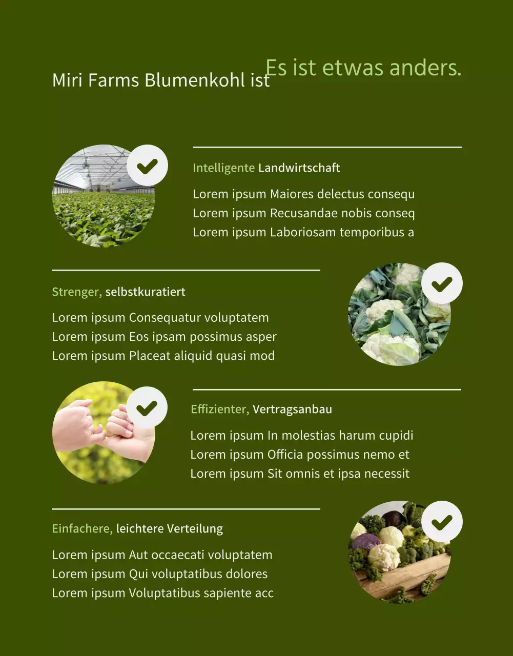 Produktbeschreibung des Blumenkohlhofs mit einer hellgrünen Aquarellfarbe