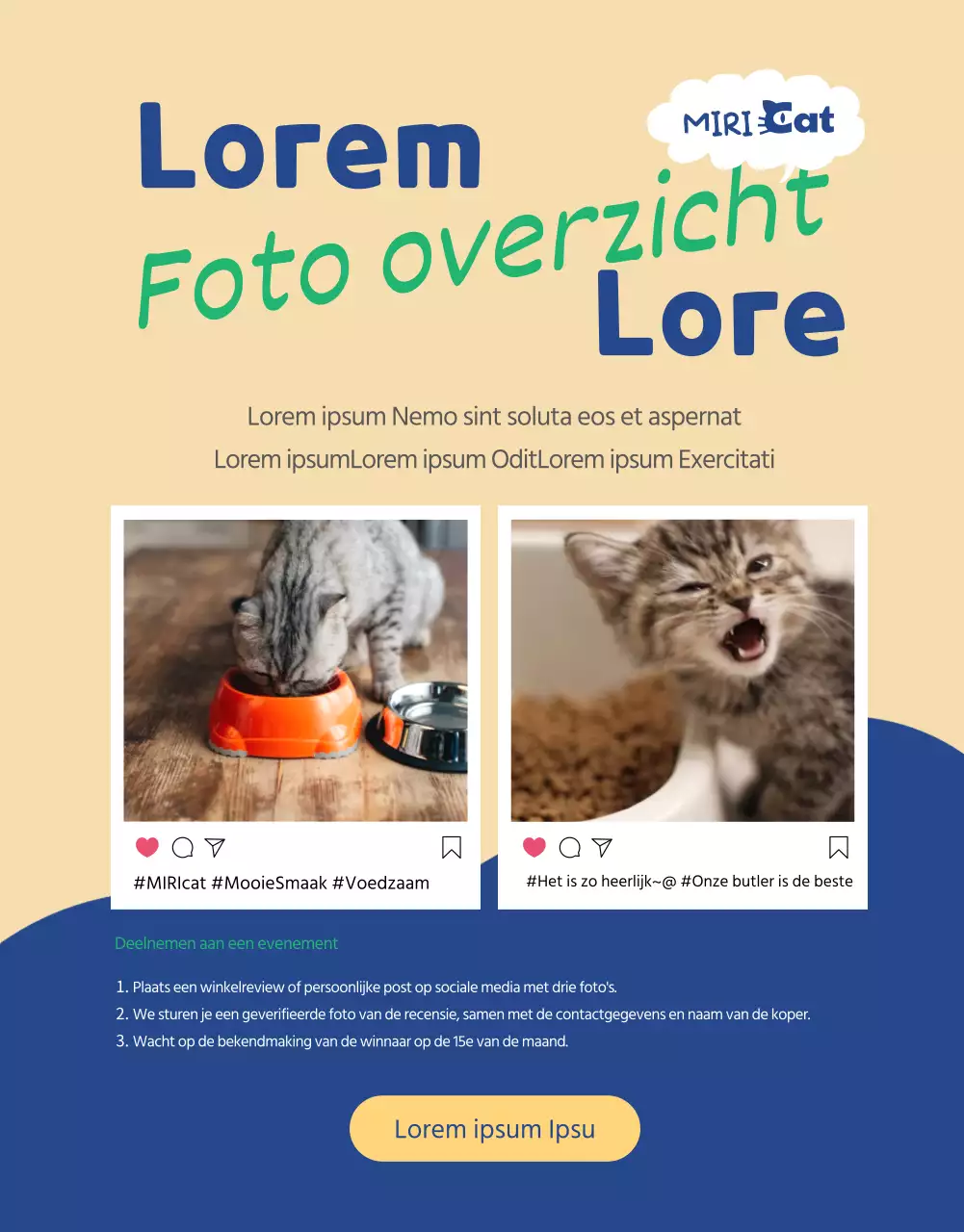 Een alles-in-één deal voor groene en marine kattenbenodigdheden