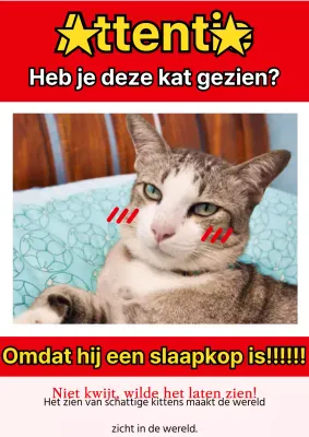 Retro rood-witte klasse B flyer voor het opscheppen van dieren