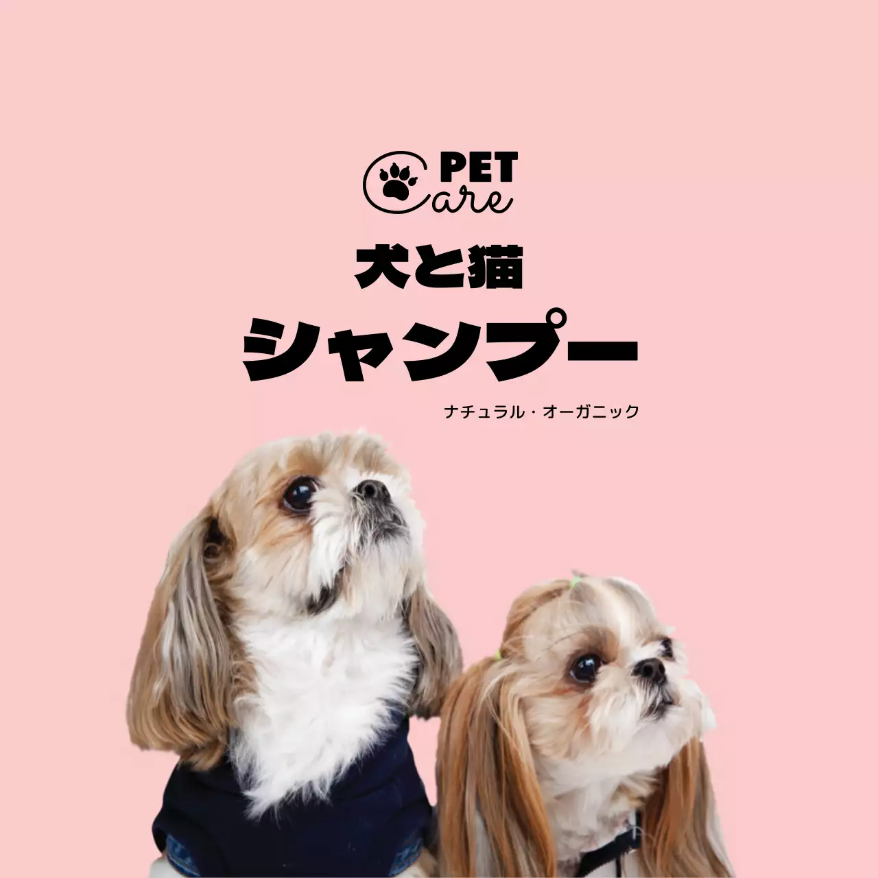 ピンクのロゴ写真付きシンプルなペット用品ラベル