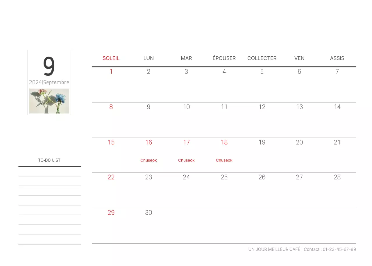 Nature botanique blanche et propre