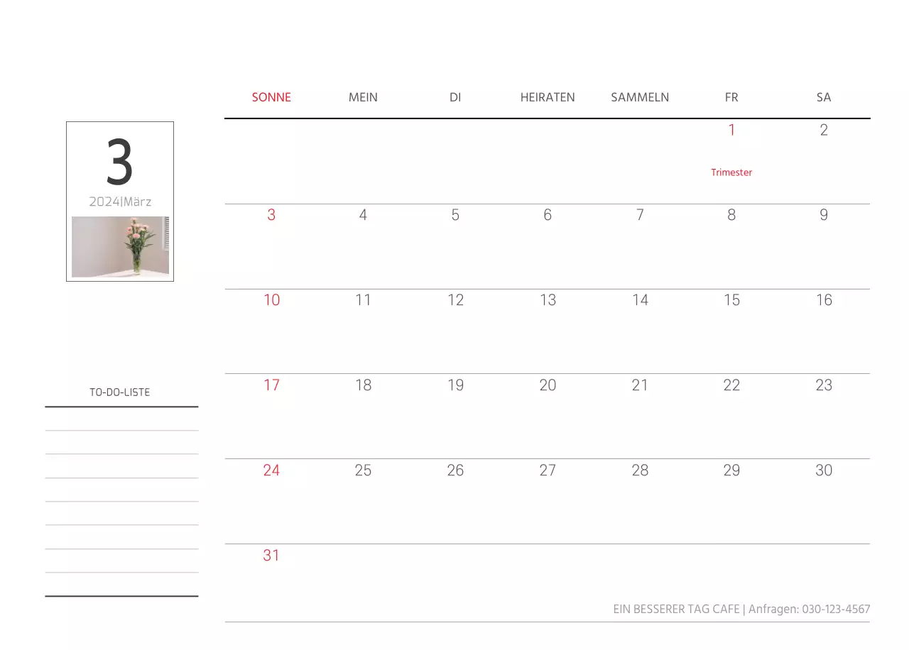 Weiße saubere botanische Natur