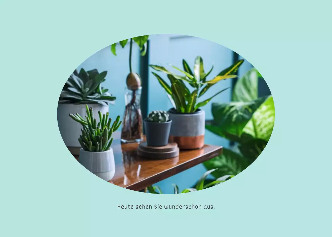 Weiße saubere botanische Natur