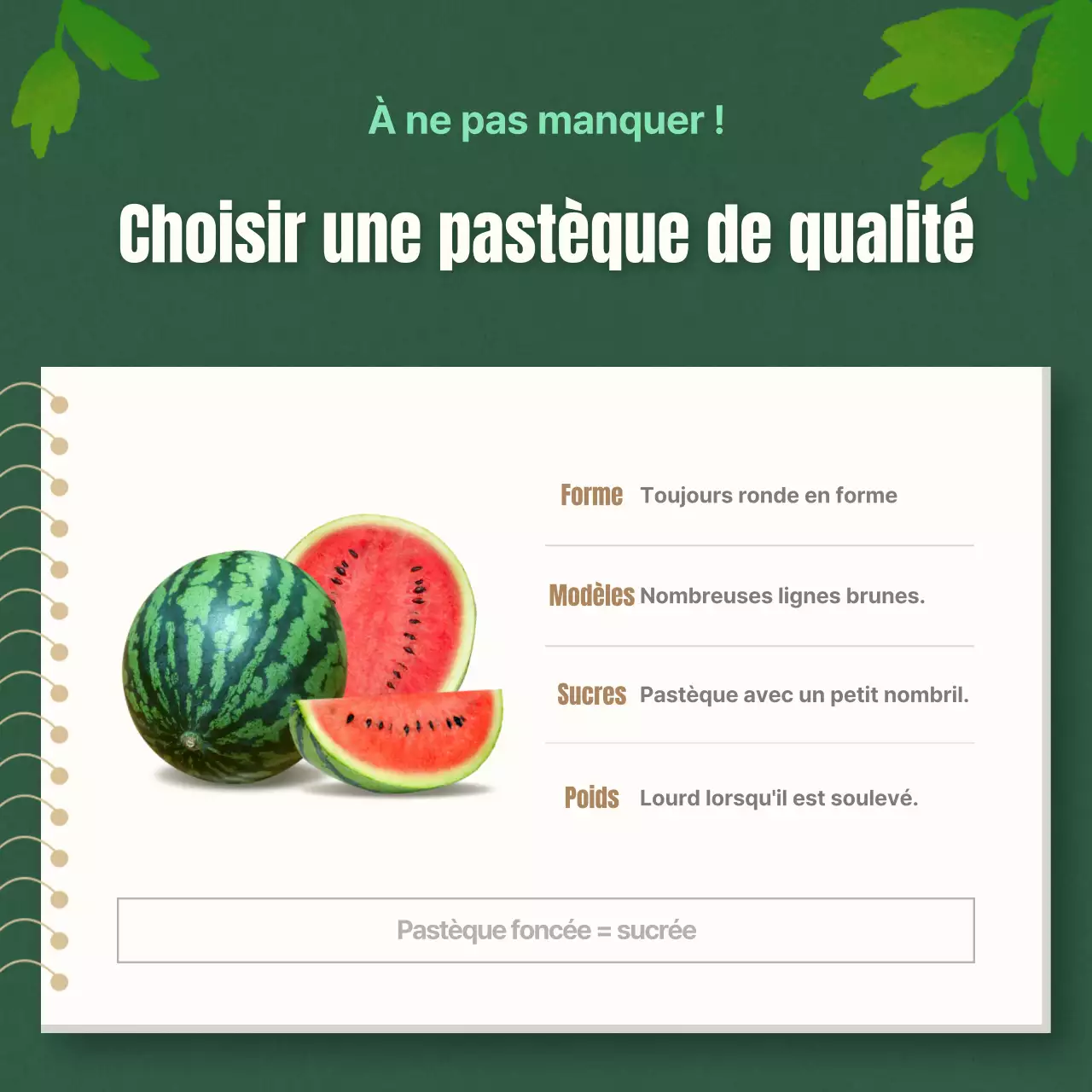 Conseils pour choisir une pastèque tropicale rouge et verte expliqués