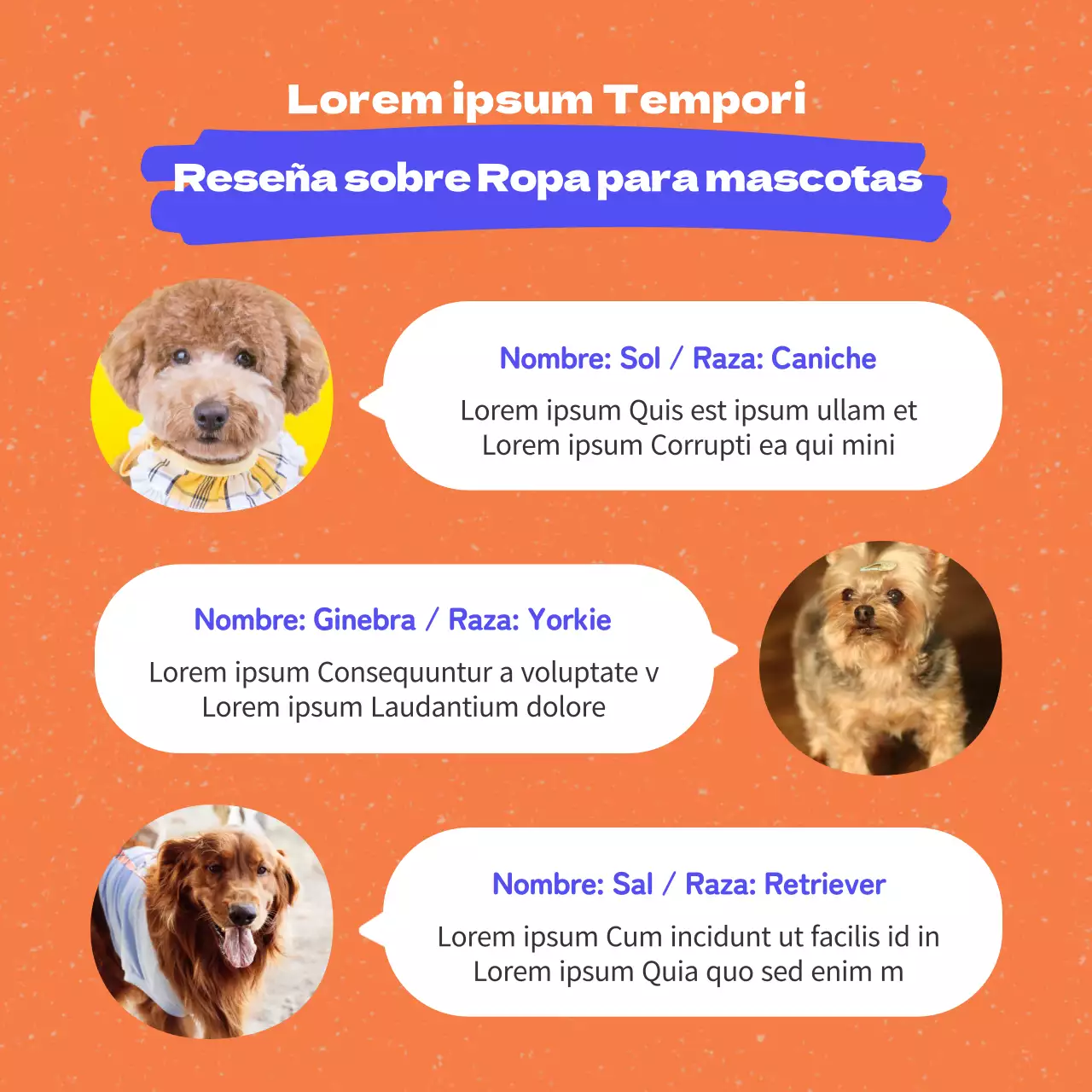 Promocionar la ropa para perros con toques de naranja y azul