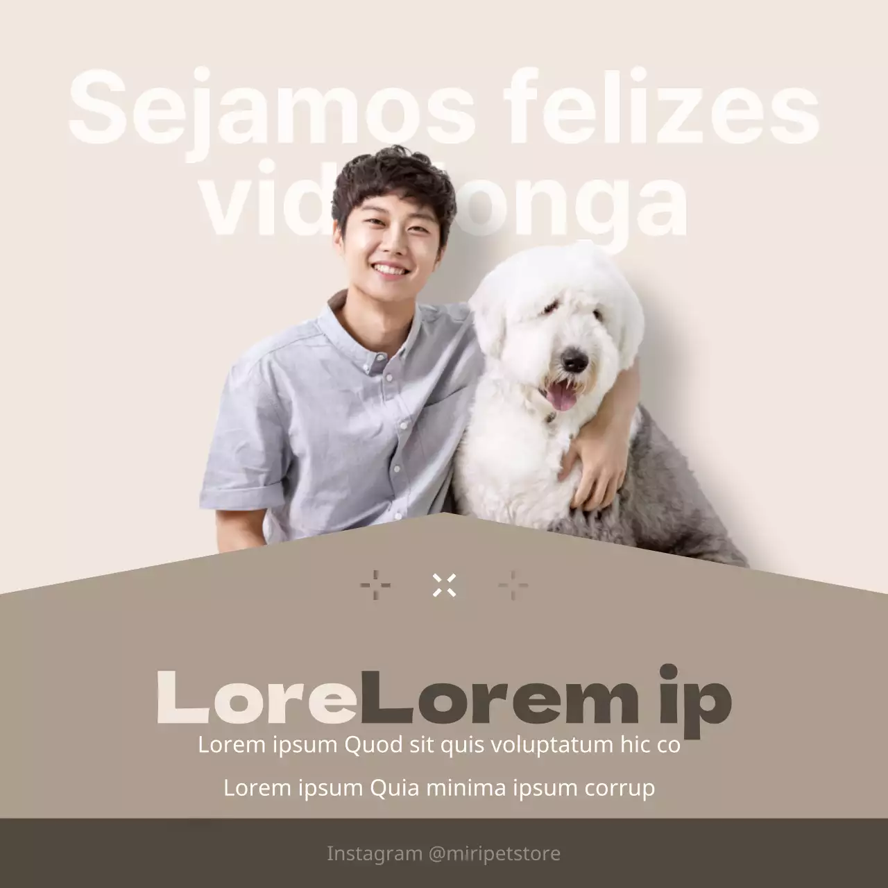 Produtos para cães