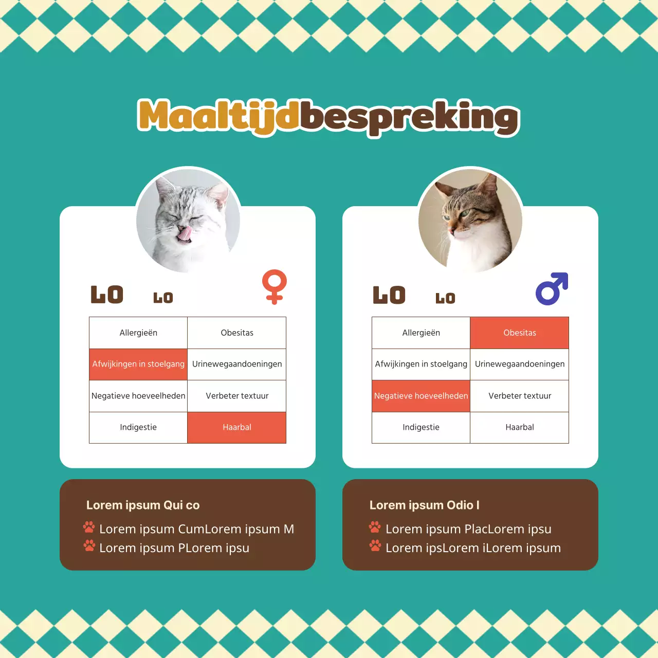 Over dit warme en knuffelige huisdier katten hondenvoer in turquoise en bruin