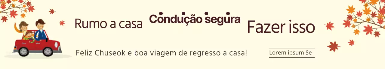 Conduzir para casa em segurança