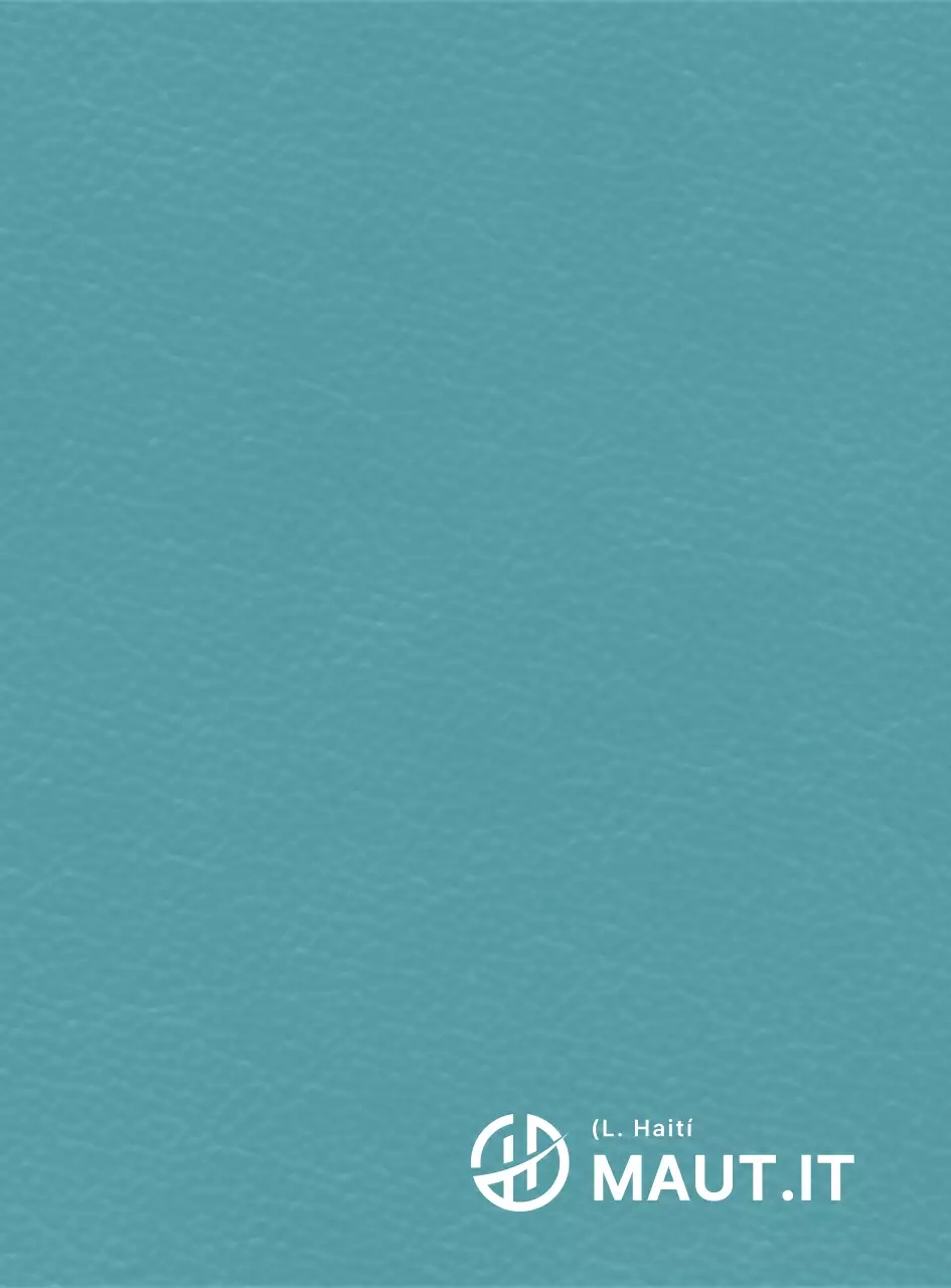 Logotipo simple con forma de Haití concepto simbólico pieza promocional corporativa