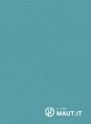 Logotipo simple con forma de Haití concepto simbólico pieza promocional corporativa