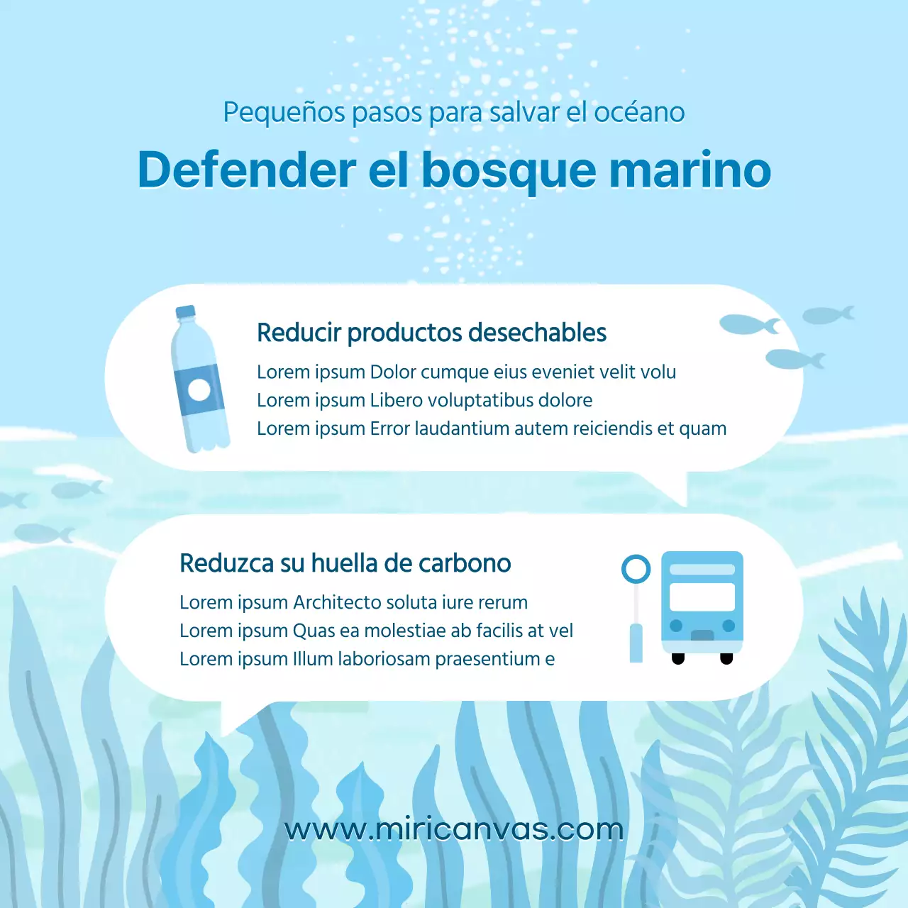 ¿Qué hay en el Día de los Bosques Marinos y los Alimentos de Origen Marino?