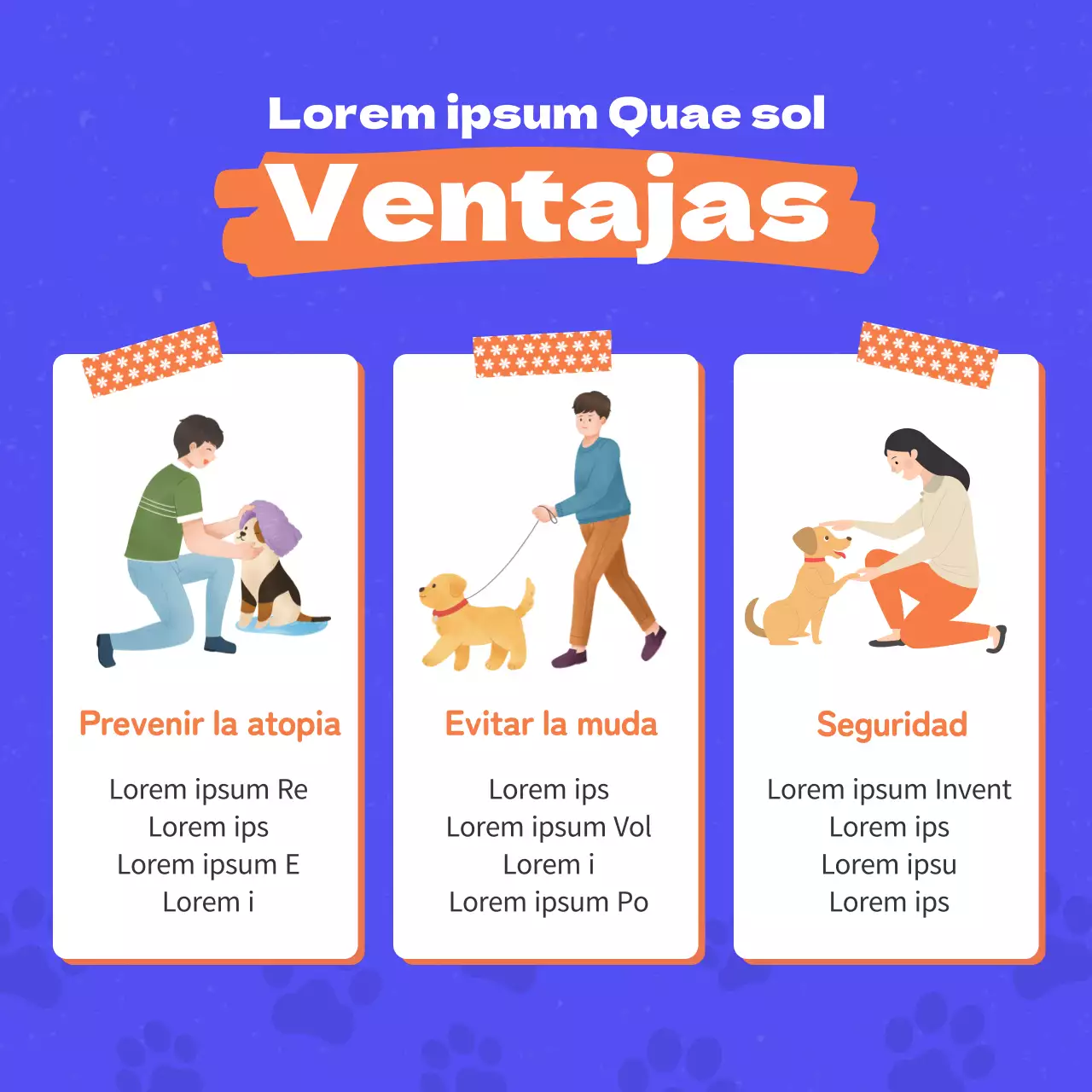 Promocionar la ropa para perros con toques de naranja y azul