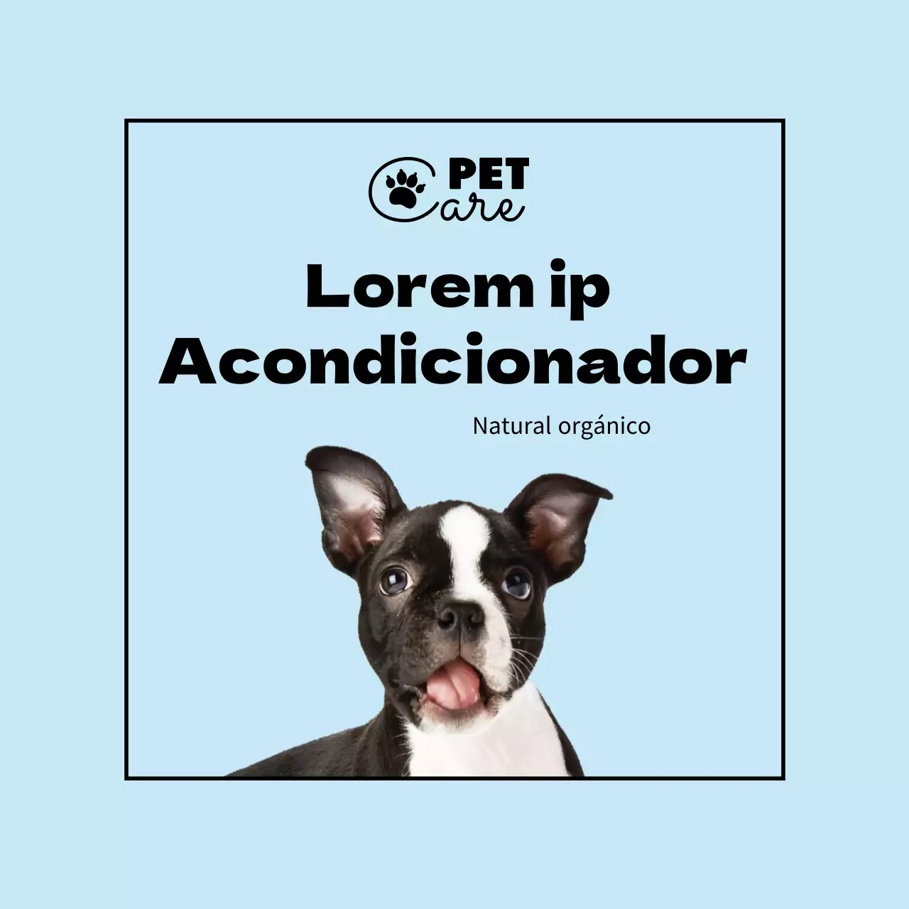 azul claro logo foto etiqueta simple para mascotas