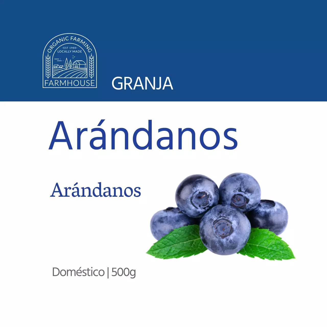 Etiqueta azul sencilla para arándanos