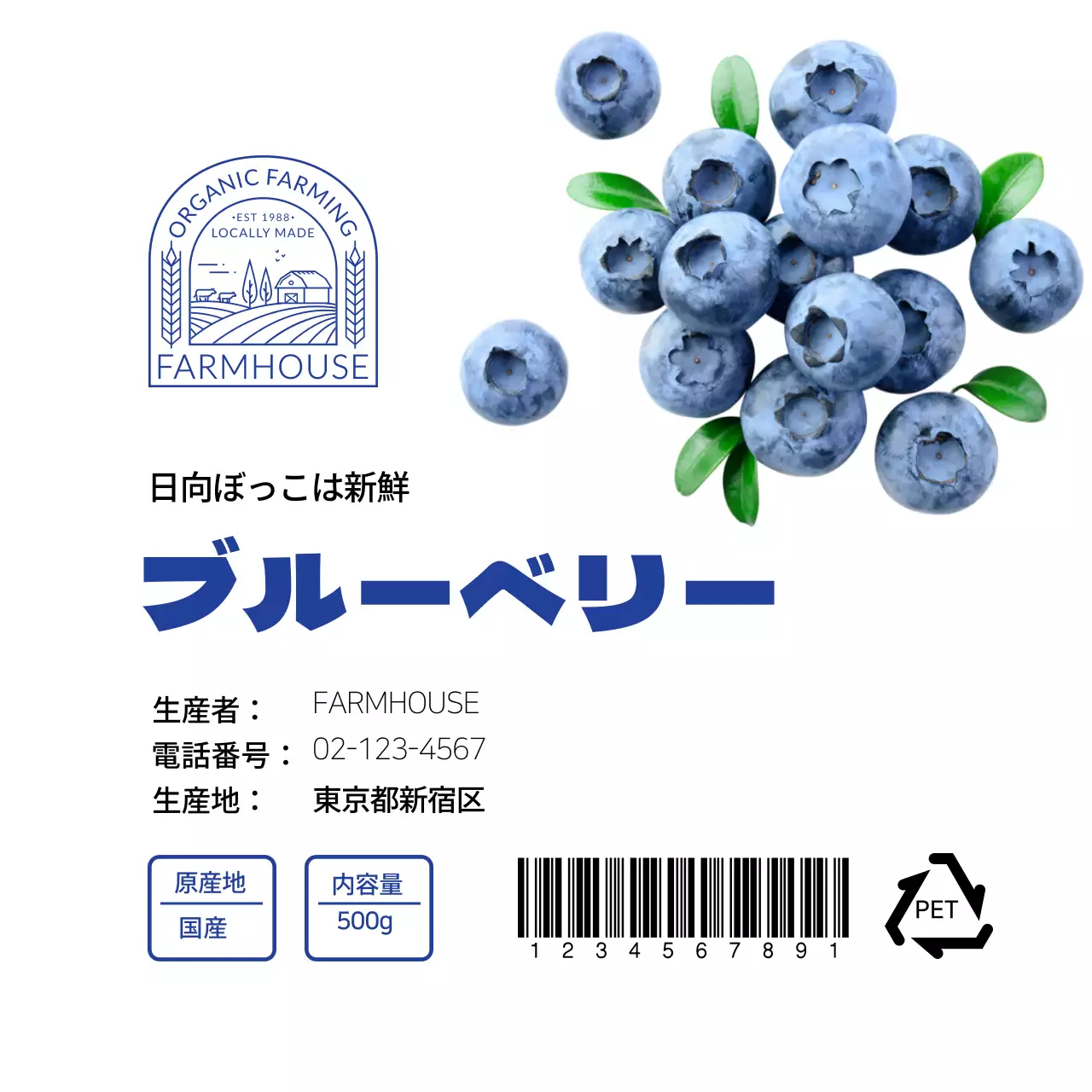 白青のすっきりとしたブルーベリーラベル