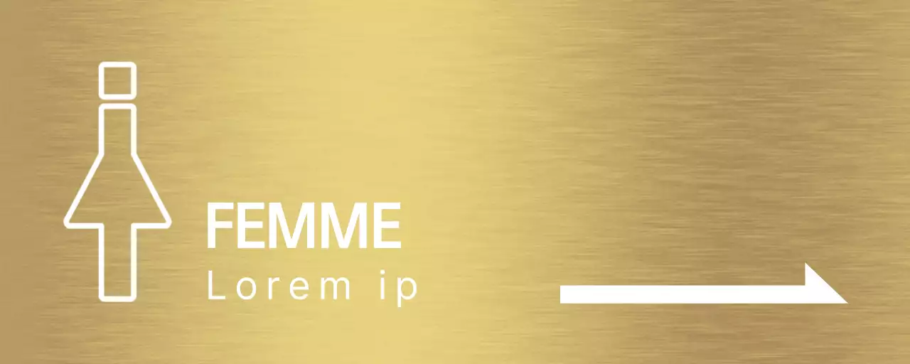 Instructions pour les toilettes avec des pictogrammes humains blancs et des flèches