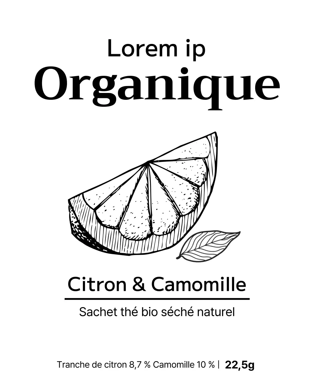 Sachets de thé aux fruits bio avec illustrations de fruits