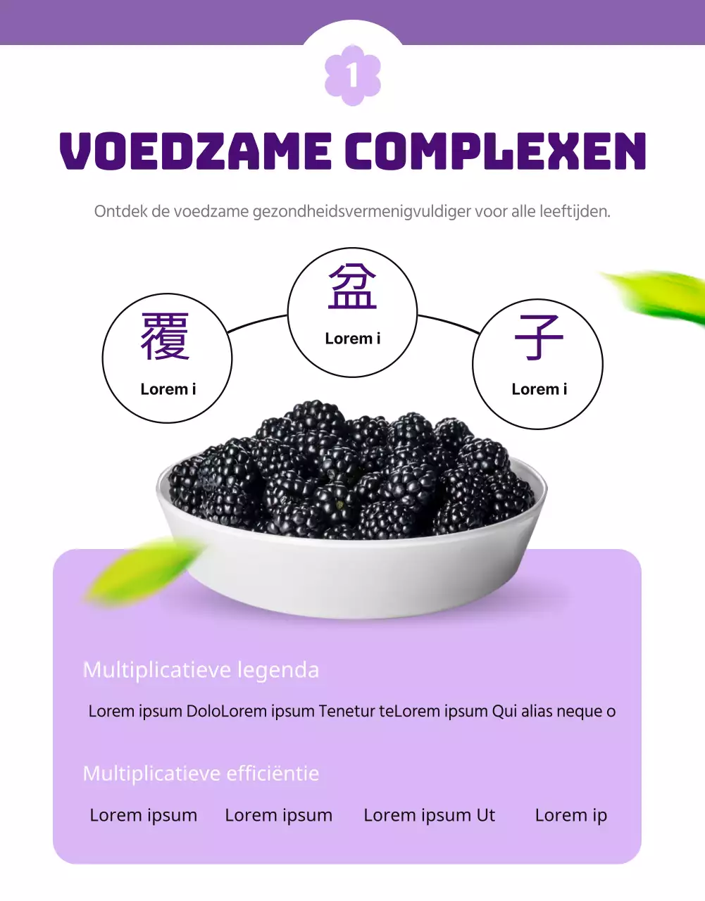 Een eenvoudig en mooi mauve en wit wambuis