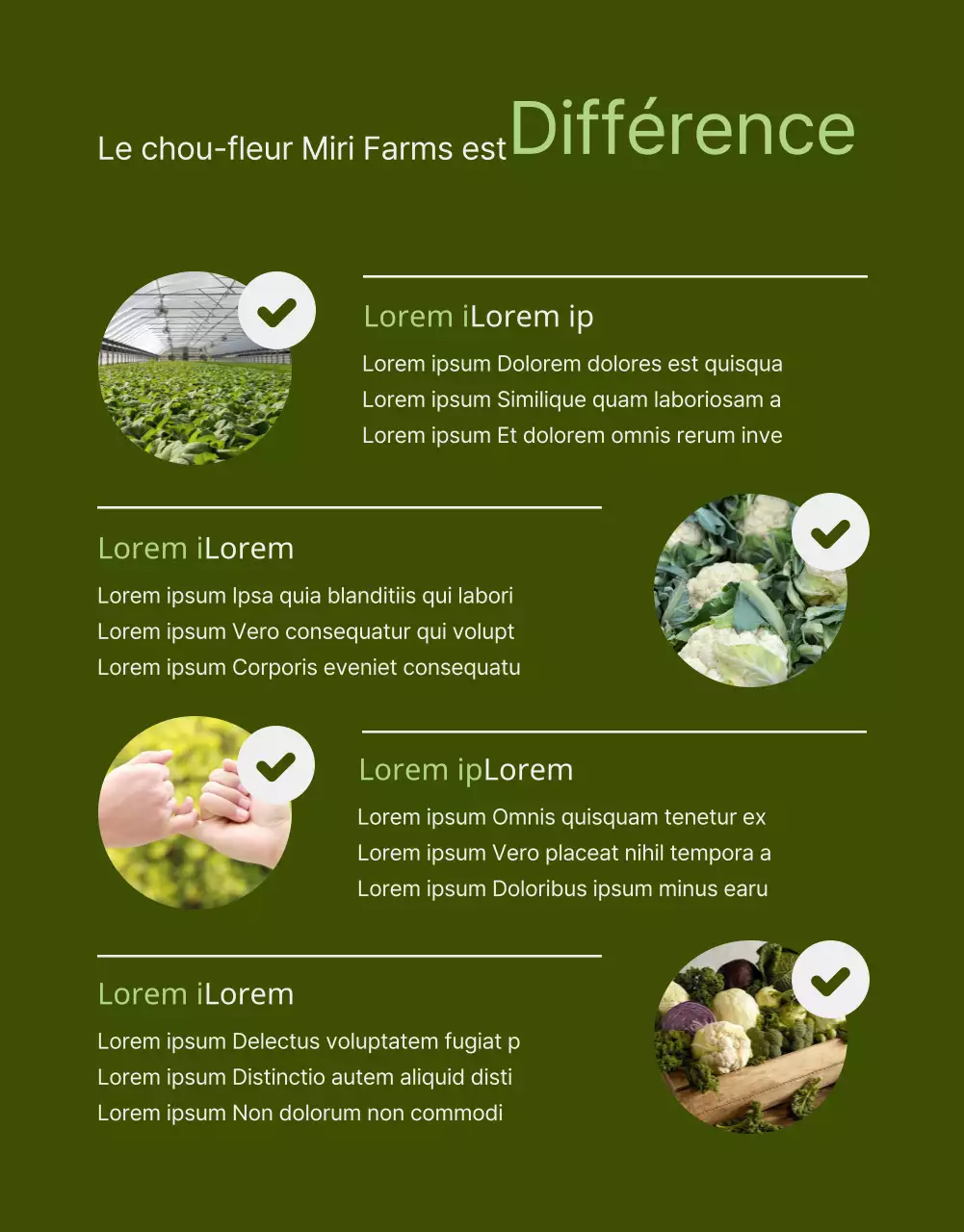 Description d'un produit de la ferme du chou-fleur avec une légère touche d'aquarelle verte