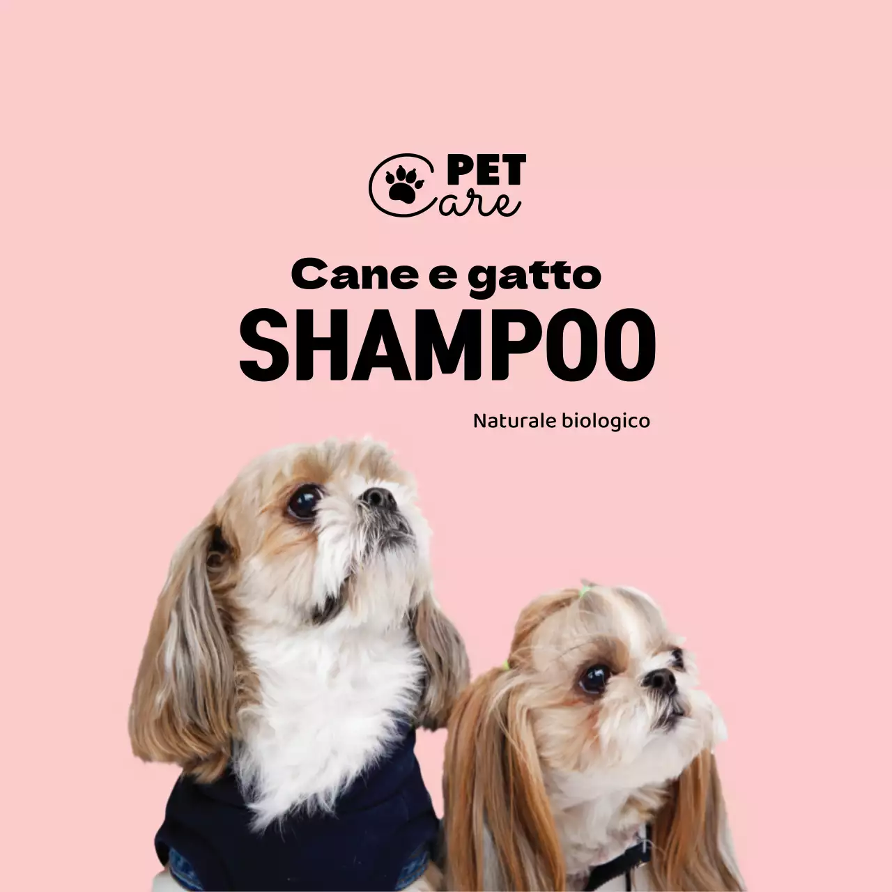 logo rosa foto semplice etichetta per animali domestici