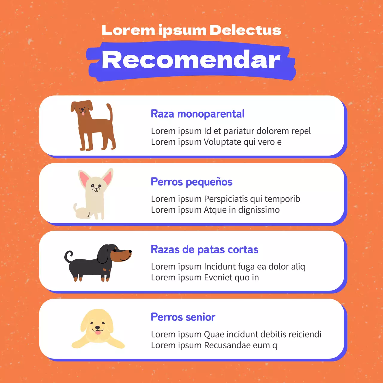 Promocionar la ropa para perros con toques de naranja y azul