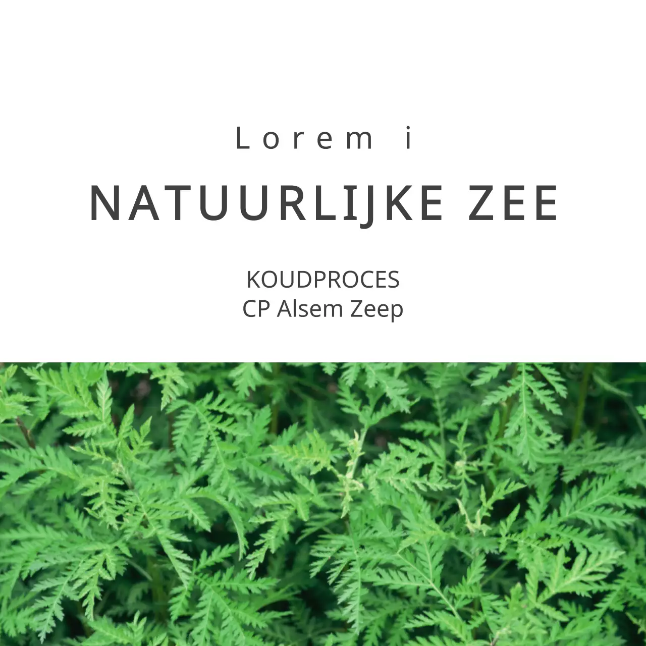 NATUURLIJKE ZEE
