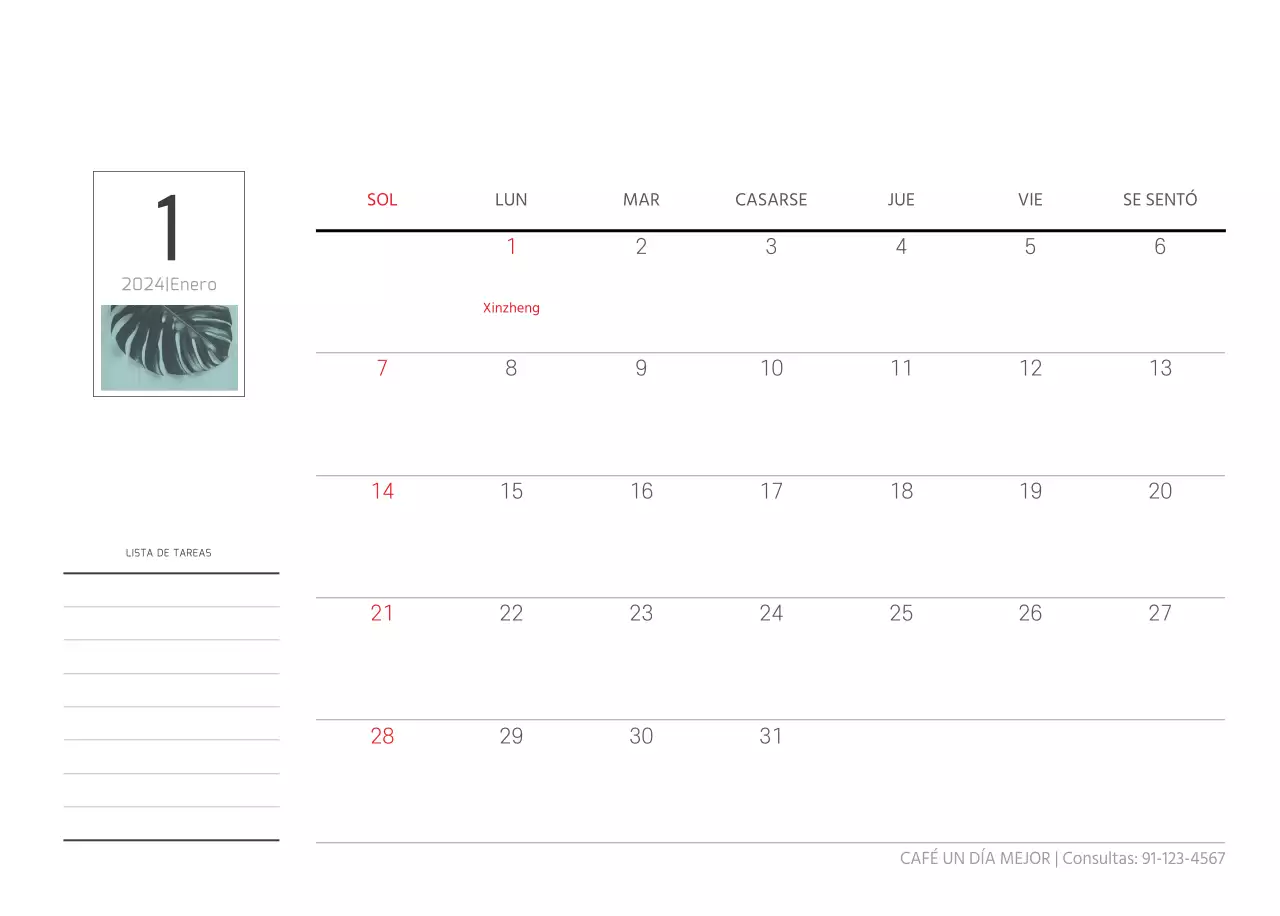 Blanco naturaleza botánica limpia