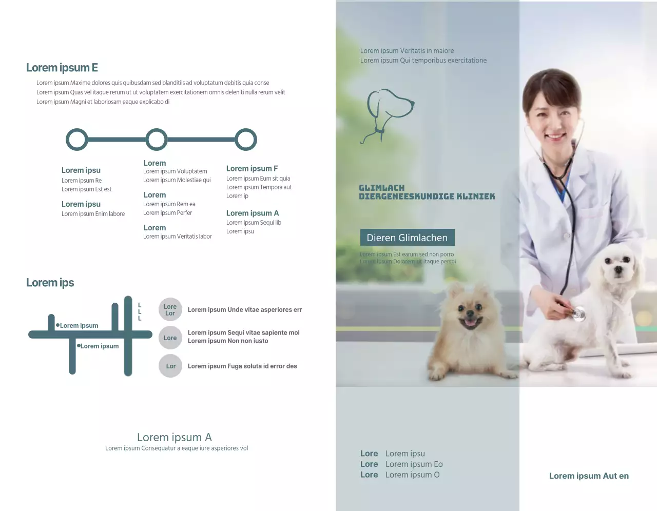 Turquoise dierenkliniek dienstregeling concept