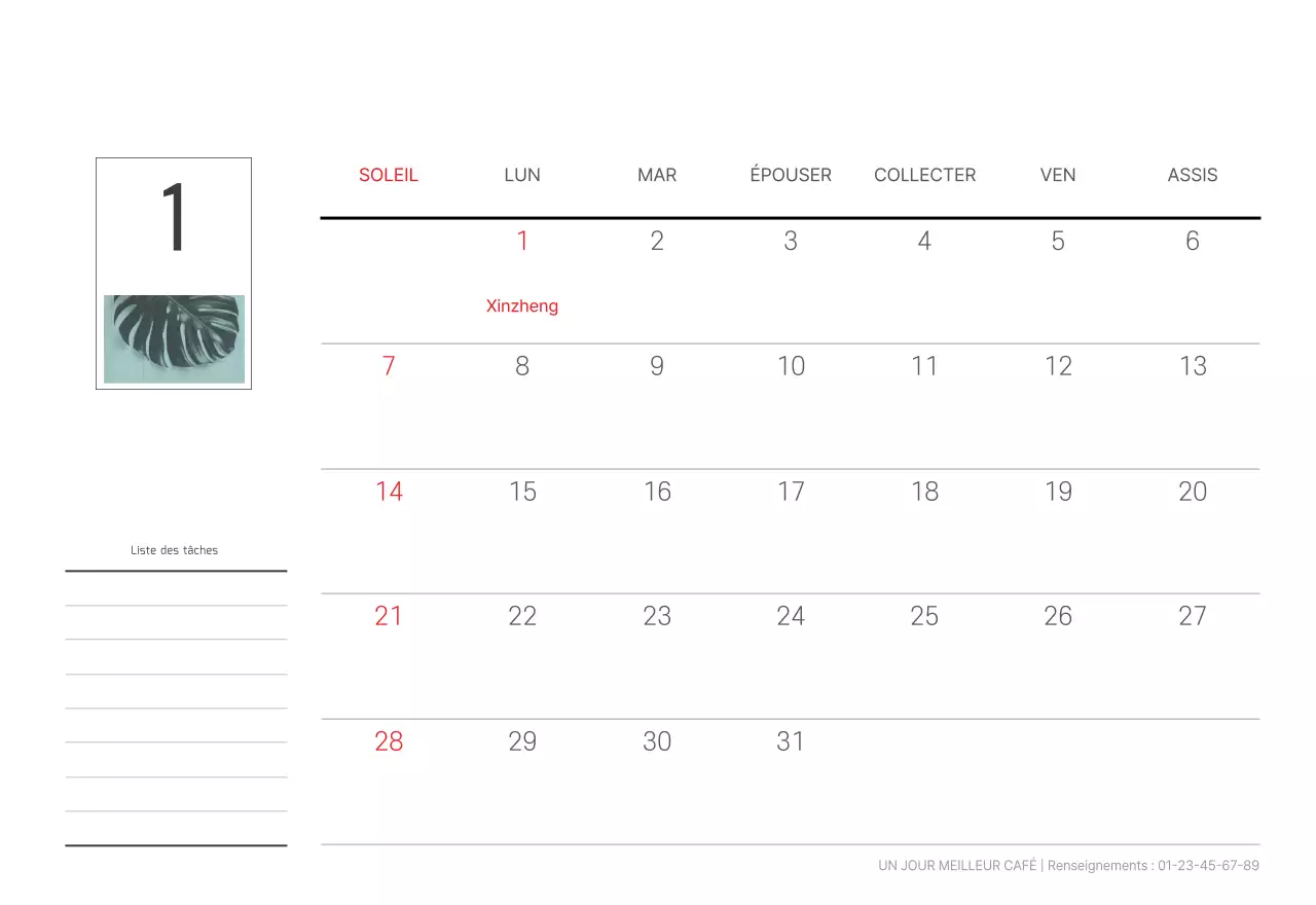 Nature botanique blanche et propre