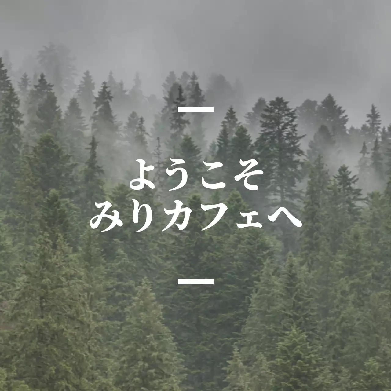 森の写真を背景にした情緒的な案内文型の英語カフェバレット。