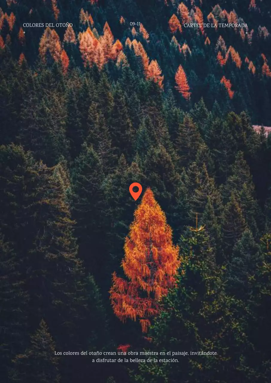 Foto interior de fondo de bosque otoñal en naranja